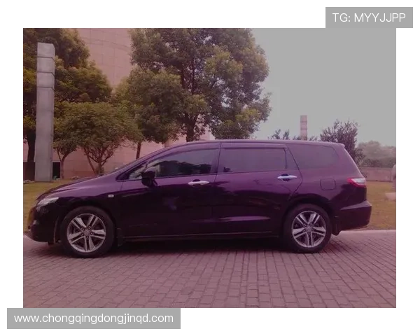 11万多拿下紫色奥德赛，家用奶爸的幸福座驾？