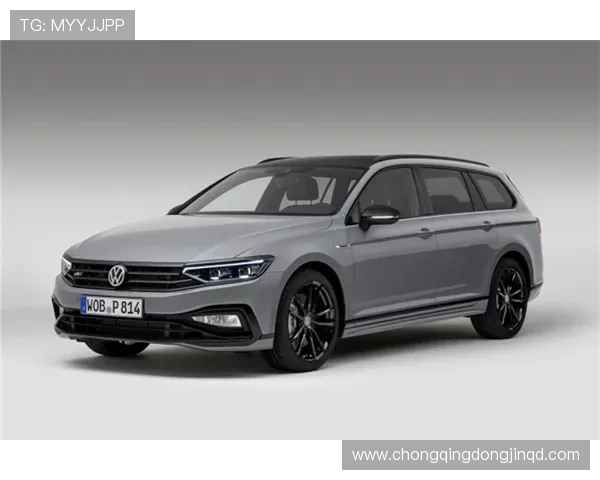 11万买台调表10款大众途锐,买主:让它和家里的辉腾做个伴儿